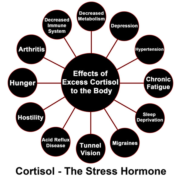 Cortisol: Your Body's Worst Enemy in Times of Stress